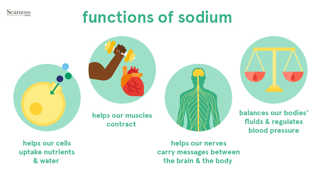 Stop adding excessive SALT to your food! Get your SODIUM from Sea Moss Gel!