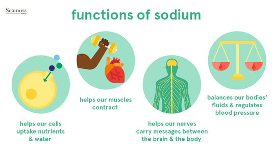 Stop adding excessive SALT to your food! Get your SODIUM from Sea Moss Gel!