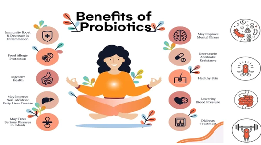 Does Sea Moss Contain Prebiotics? Benefits for Gut Health & Digestion