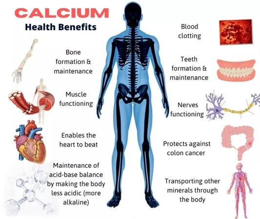 Does Sea Moss Contain Calcium? Benefits for Strong Bones & Teeth