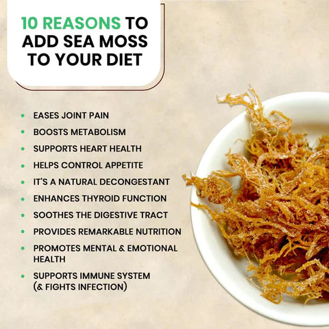 10 Science-Backed Benefits of Sea Moss Gel for Your Health