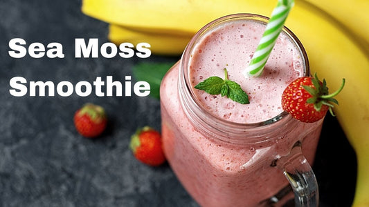 Best Sea Moss Smoothie Recipes: Easy, Healthy & Delicious