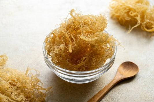 What exactly is Sea Moss?